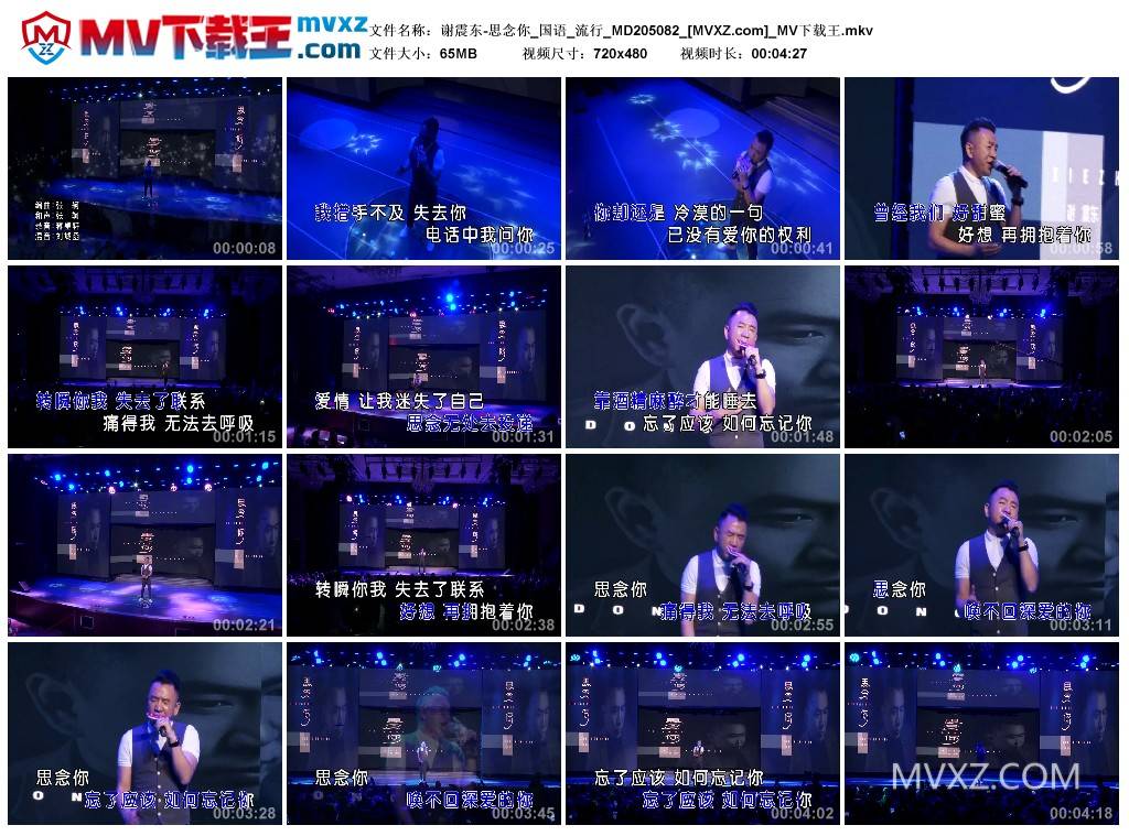 谢震东-思念你_国语_流行_MD205082